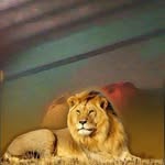 Jackson Clement - @jacksonclement07 - Instagram
