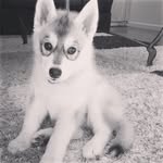Kris - @k.jacksonclose - Instagram