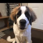 Jackson Cochran - @jacksncochran - Instagram