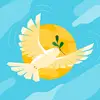 Conroy Jackson - @conroy.jackson - TikTok