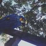 jacksonconroy - @jacksonconroy_ - Instagram