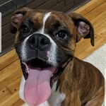 Jackson Cooley - @jacksonrenaldoguiseppeonasis - Instagram