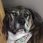 Jackson Cooley - Facebook