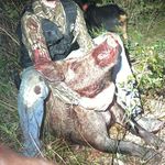 Jackson Cornish - @j_rooster27 - Instagram