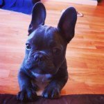 Jackson Cornish - @jackson_cornish - Instagram