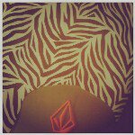 Jackson Costello - @yolosolongboard - Instagram