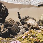 Jackson Costello - @jacosgallery - Instagram