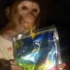 Jackson Cotton137 - @jacksoncotton123 - TikTok