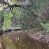 jacksonedcotton - @jacksoncotton - TikTok