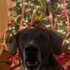 Rebecca Jackson Cotton - @rebecca.jackson.c - TikTok