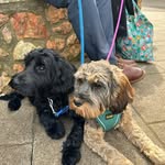 Nora & Jackson 🐾 - @nora.jacksoncraven - Instagram