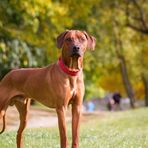 Jackson Crosby - Facebook