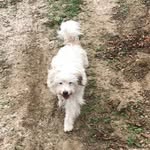 jackson crow - @jacksoncrow51 - Instagram