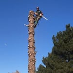 Jackson Crow - @jacksoncrowtreelife - Instagram