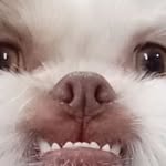 Jackson Crowe - @cr0w3 - Instagram