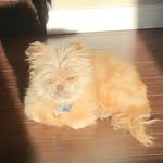 Jackson - @jacksoncurrie5 - Instagram