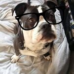 Jackson Currie - @jack.son8066 - Instagram