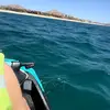 jackson.daly0 - @jackson.daly0 - TikTok