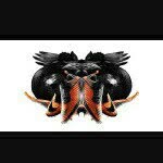 ⚽✌✌✌✌✌⚽ - @jackson_de_leon_galicia_14 - Instagram