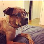 Jackson Devine - @jackdogbrews - Instagram