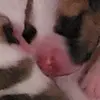 jacksondweber - @jacksondweber - TikTok