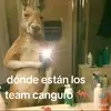 Jackson Dias - @jackson.dias41 - TikTok