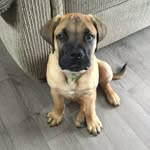 Jackson Dixon - @jackson07dixon - Instagram