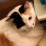Jackson O'Brien -Dumont - @book.nerd2007 - Instagram