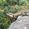 Jackson Duncan - @jackson.duncan41 - TikTok