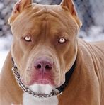 Jackson Duran - Facebook