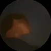 jackson.eng58 - @jackson.eng58 - TikTok