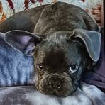 Jaxson Erickson - Facebook