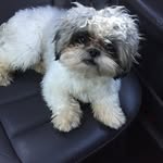 Jackson Estrada - @jackestrada88 - Instagram