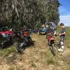 jacksonfalconer - @jacksonfalconer - TikTok