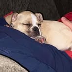 Jackson Farquharson - Facebook