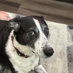 Jackson Ferguson - @jacksonferguson3 - Instagram