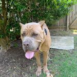 Jackson Ferguson - @jackson.ferguson16 - Instagram
