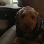 Jackson Flood - Facebook