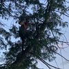 tjacksonforbes - @jackson_forbess - TikTok