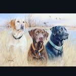Jackson Fortner - @jacksonfortner - Instagram