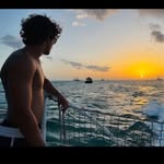 Jackson Franks - @jacksonfranks2 - Instagram