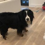 Jackie - @yourfreundjackson - Instagram
