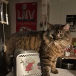 Jackson Frye - @jackson.frye4 - Instagram