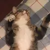 Jackson frye - @jackson._.fryeee - TikTok