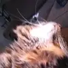 JacksonFrye - @jackson.frye - TikTok
