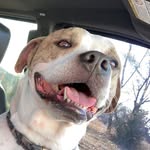 Jackson fullbright - @blastin_jackson32 - Instagram