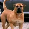 emmett_leidi07 - @fulton.jackson44 - TikTok