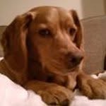 Jackson Fulton Clement - @jacksonfultonclement - Instagram
