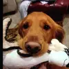gabrieljackson_ - @gabrieljackson_ - TikTok