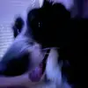 Jackson Gallagher - @jacksongallagher5 - TikTok
